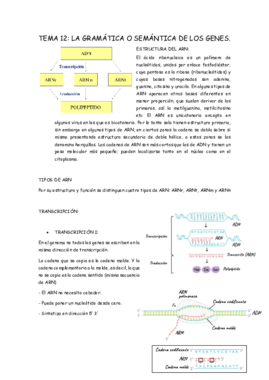TEMA 12biologia .pdf