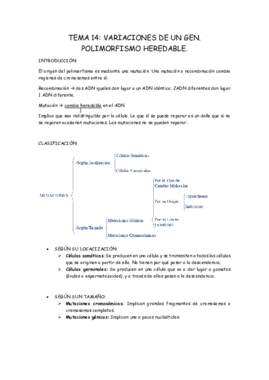 TEMA 14 biologia.pdf