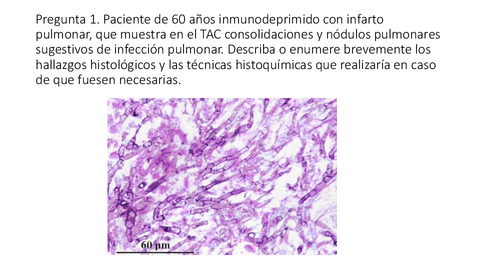 Ejemplos-de-preguntas-practicas-biomedicina.pdf