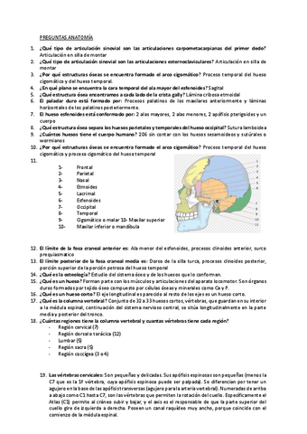 Preguntas-examenes-anatomia-resuelta.pdf
