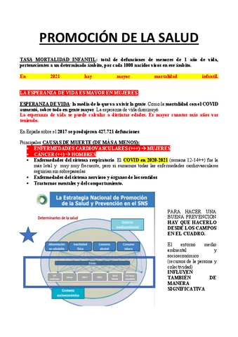 PROMOCION-DE-LA-SALUD-VIP.pdf