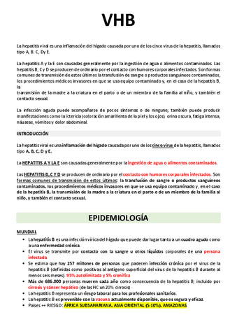 VHB-VIP.pdf