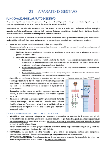 21-Aparato-digestivo.pdf
