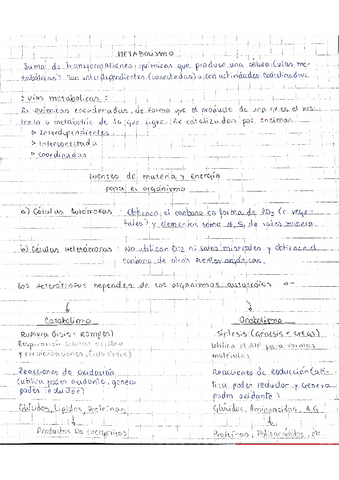 Bioquimica-1.pdf