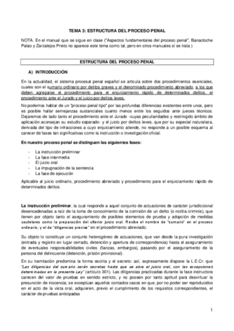TEMA-3-DPP.pdf