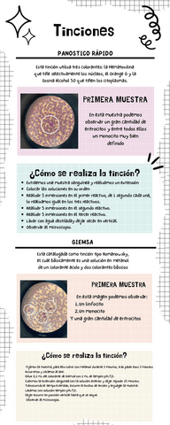 Informe-Tinciones-1-2-3-1.pdf
