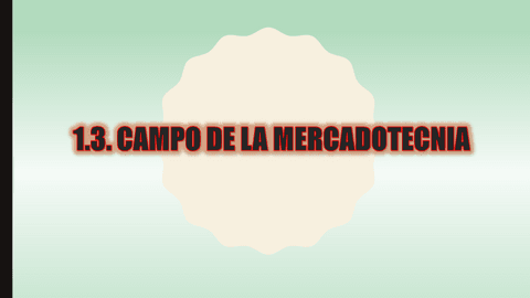 CAMPO-DE-LA-MERCADOTECNIA.pdf