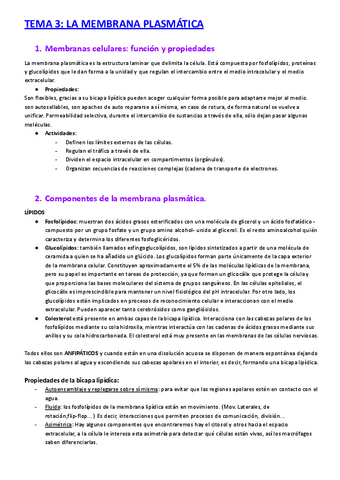 3.-apuntes-completos-biologia-1o-CyTA-14-26.pdf