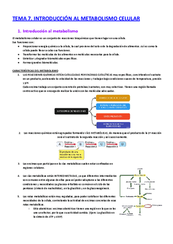 4.-apuntes-completos-biologia-1o-CyTA-27-37.pdf
