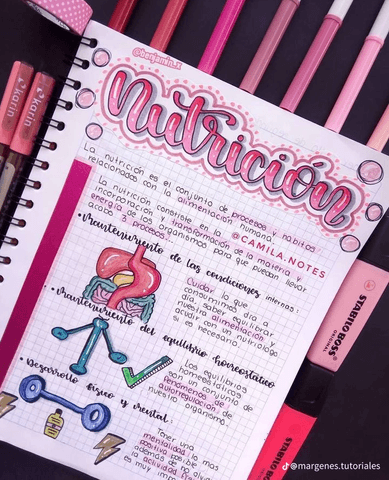 Caracteristicas-sobre-la-nutricion.png