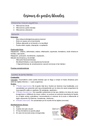 Tema-1.3-Lesiones-de-partes-blandas.pdf