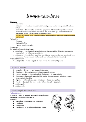 Tema-1.4-Lesiones-articulares.pdf