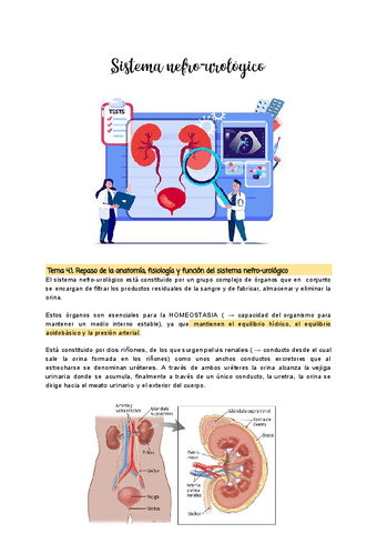 Tema-4-Cuidados-de-enfermeria-a-personas-con-problemas-nefro-urologicos.pdf