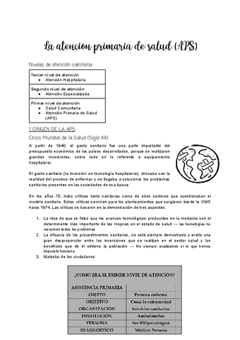 Tema-1-La-atencion-Primaria-de-Salud-APS-1.pdf