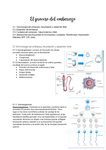 Tema-5.1-Fecundacion-y-desarrollo.pdf