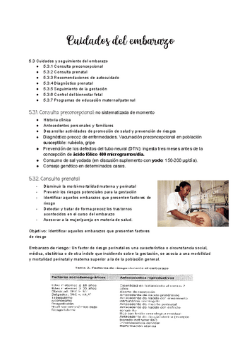 Tema-5.3.-Cuidados-del-embarazo.pdf