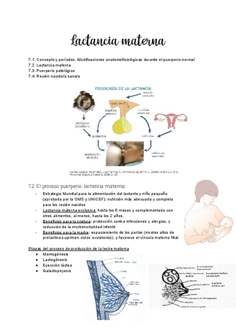 Tema-7.2-Lactancia-materna.pdf