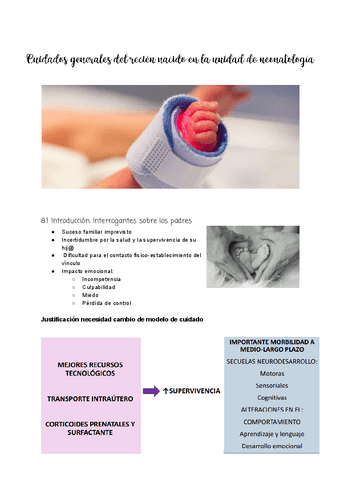 Tema-8-Cuidados-generales-del-RN-en-la-unidad-de-neonatologia.pdf
