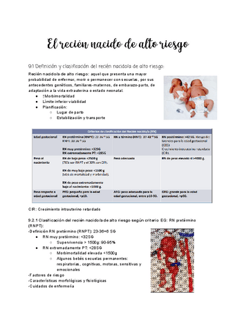 Tema-9-El-RN-de-alto-riesgo.pdf