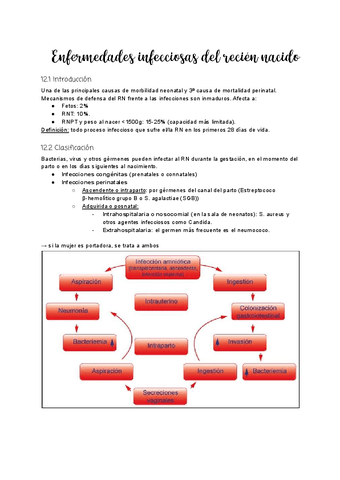 Tema-12-Enfermedades-infecciosas-del-RN.pdf
