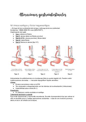 Tema-19-Alteraciones-gastrointestinales.pdf