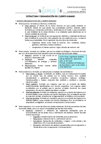 TEMA-1-Estructura y organización del cuerpo humano.pdf