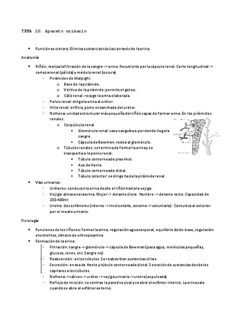 TEMA-10-anatomia.pdf