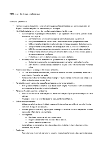 TEMA-11-anatomia.pdf