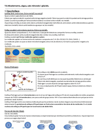 T.1-Bioelements-aigua-sals-minerals-i-glucids..pdf