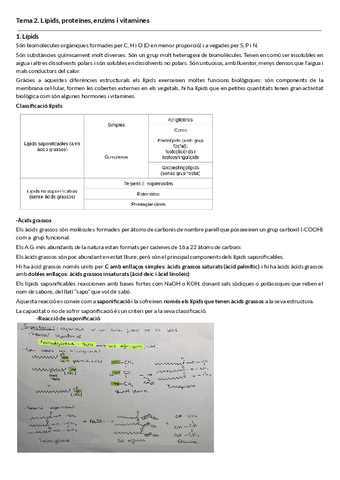 T.2-Lipids-proteines-enzims-i-vitamines.pdf