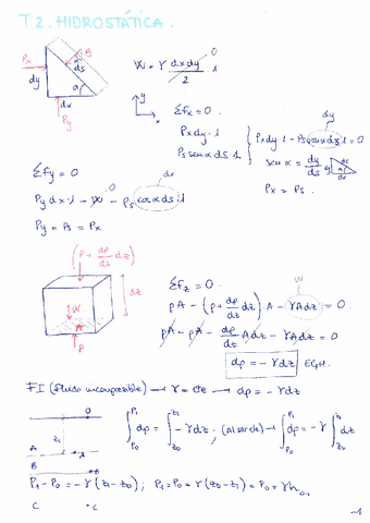 Apuntes-y-problemas-resueltos-I.pdf