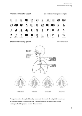 Apuntes - Phonology and phonetics.pdf