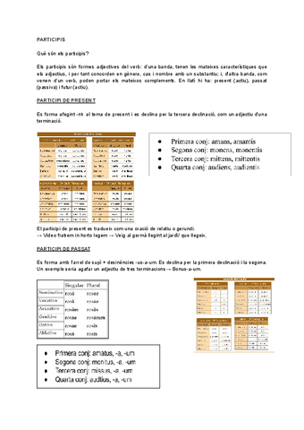 PARTICIPIS.pdf