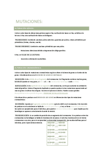 MUTACIONES.pdf