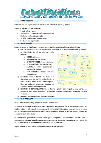 T2-Caracteristicas-morfologicas.pdf