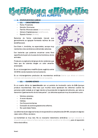 T8-Bacterias-alterantes-de-los-alimentos.pdf