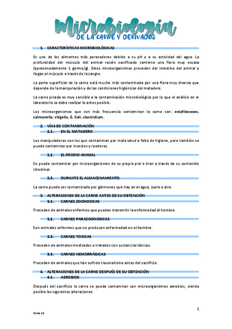 T16-Carne.pdf