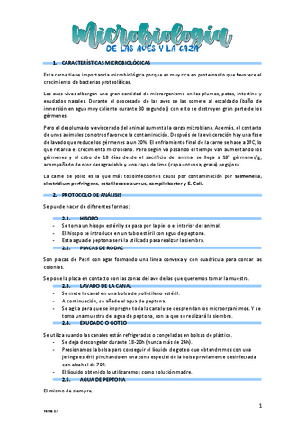 T17-Aves-y-caza.pdf
