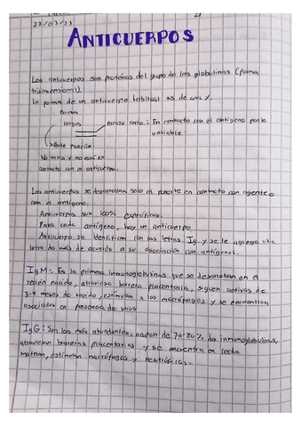 Anticuerpos.pdf