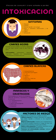 Infografia-Intoxicacion-Carne.pdf