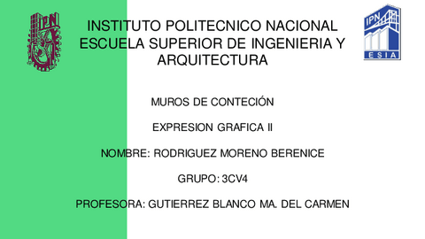 Muros-de-contencionExpresion-grafica-II.pdf