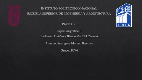 PuentesExpresion-grafica-II.pdf