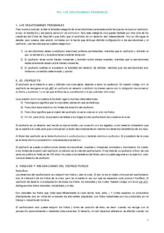 TEMA-26.pdf