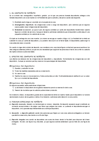 TEMA-33.pdf
