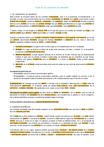 TEMA-37.pdf