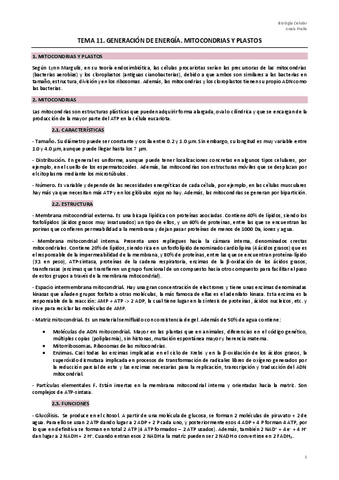 Parcial 2.pdf