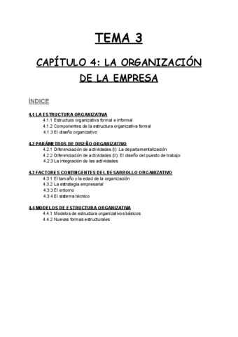 TEMA-3-capitulo-4-La-organizacion-de-la-empresa.pdf