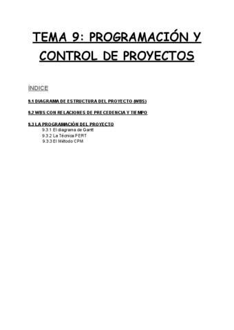 TEMA-9-Programacion-y-control-de-proyectos.pdf