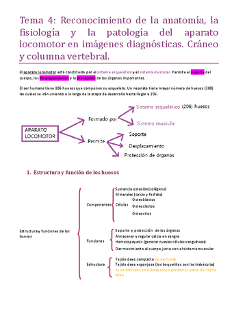 Tema-4-Craneo-y-columna-vertebral.pdf