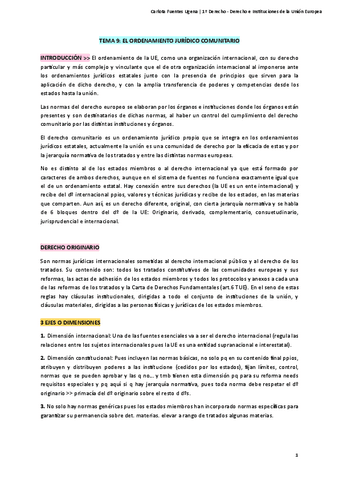 Derecho-e-Instituciones-de-la-Union-Europea-Tema-9.pdf